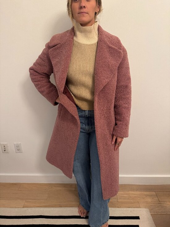 A.L.C. (ALC) Pink Tufted Teddy Caron Shearling Coat Faux Fur Women's Midi Coat L - Picture 1 of 5